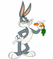 buny2.gif